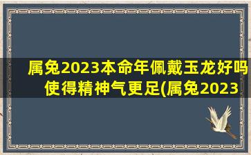 属兔2023本命年佩戴玉龙好吗 使得精神气更足(属兔2023本命年佩戴玉龙，让你精神气更足)